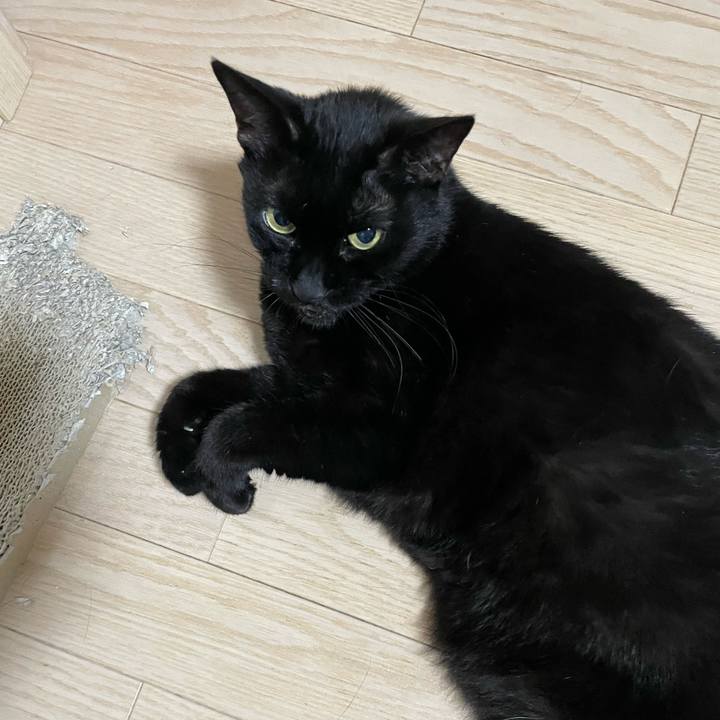 1fe5863e f1d8 4a0c a087 7ba2b399dcb7 1750855735573