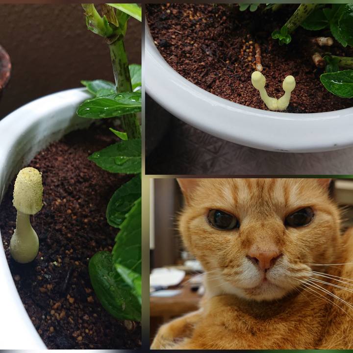 1fe5c378 594a 47fc b0b8 c77f5111c980 1629252375106