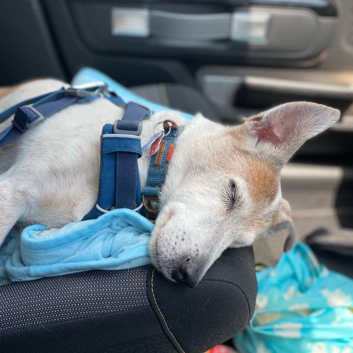 1fe5d2fa 9459 429e 9776 63aa05557754 1658029479188