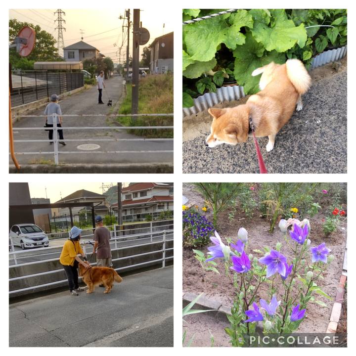 1fe5dd16 7569 4ae9 94dc 0867632b75dd 1750456253205