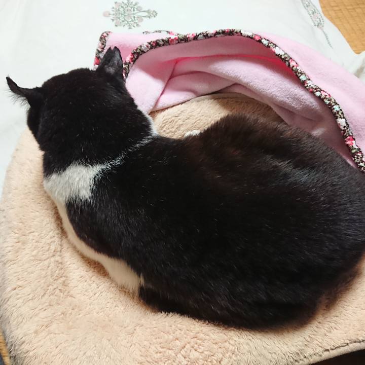 1fe5fca1 9202 45b8 828b 7b79bc7c1a8d 1655209351261