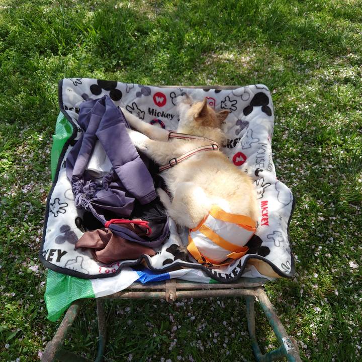 1fe60b0a 207a 48d1 a591 895be3e87a36 1649473531161