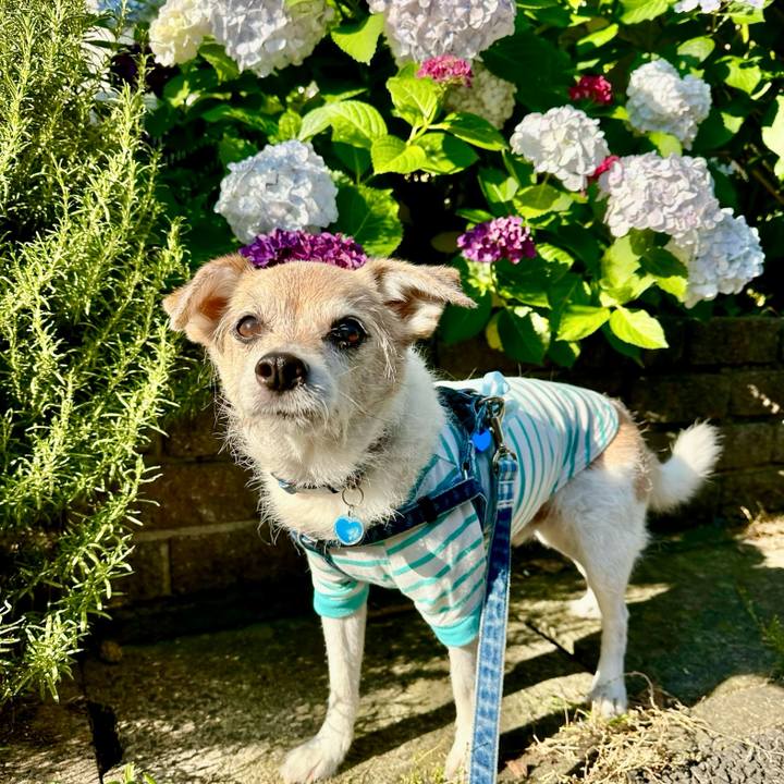 1fe66862 b511 4d17 8bce 915981ce70ea 1717548607825