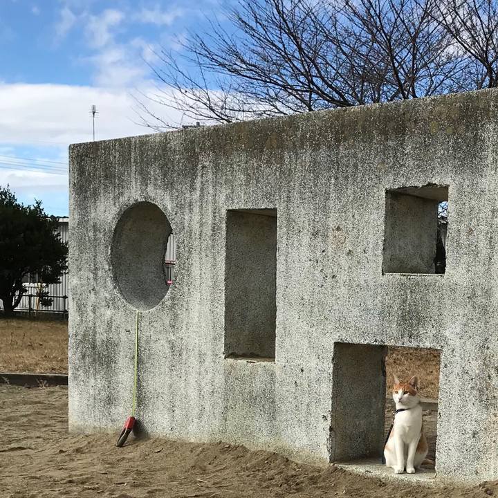 1fe66f5f 22b3 49a7 8f21 d959ccf57950 1512464254329