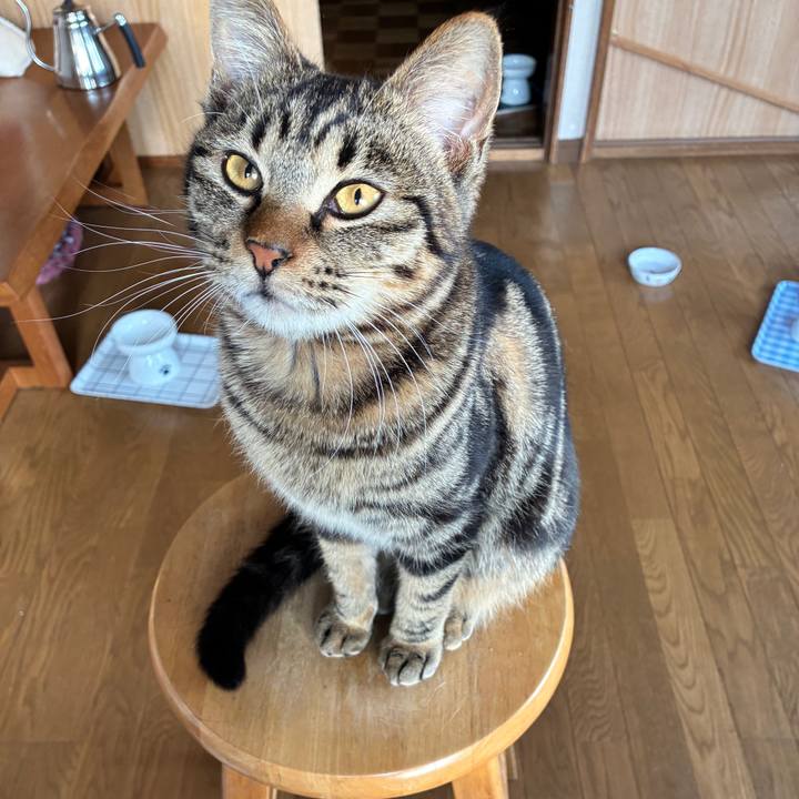 1fe67f65 3389 4262 9265 2d19520dd75d 1746132438278