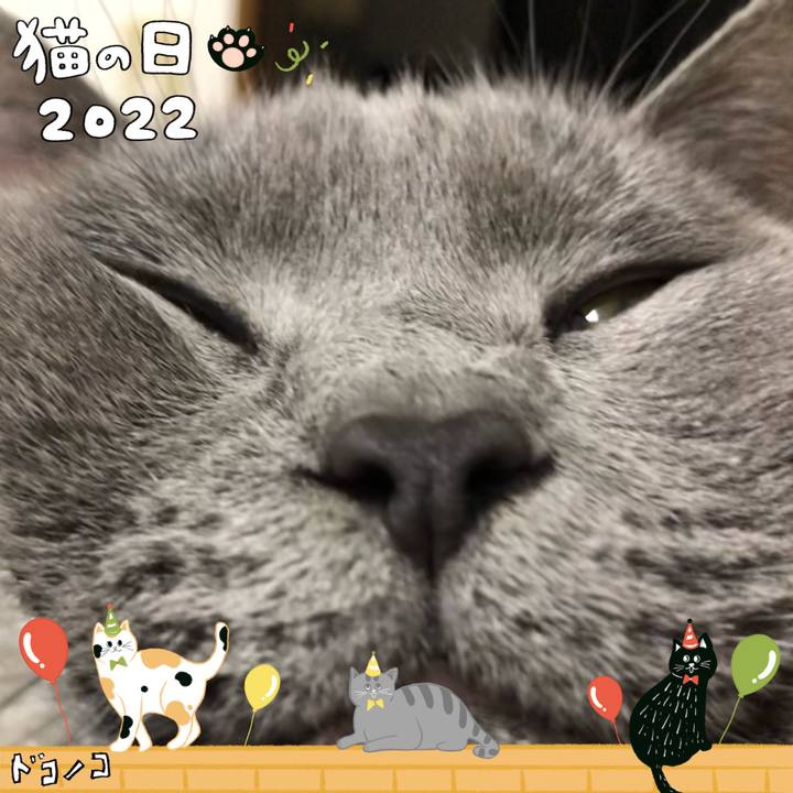 1fe68265 7af0 443a 97af aadd3d67f737 1645500885613