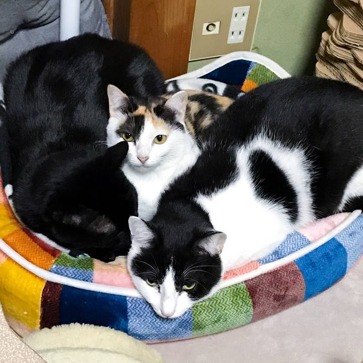 1fe6abb4 1995 4cf6 88d1 49f7f051543f 1510320432036