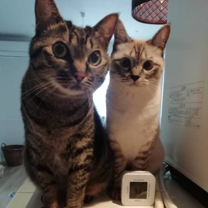 1fe6b34b 1a81 421b ba65 65a528759593 1563152458609