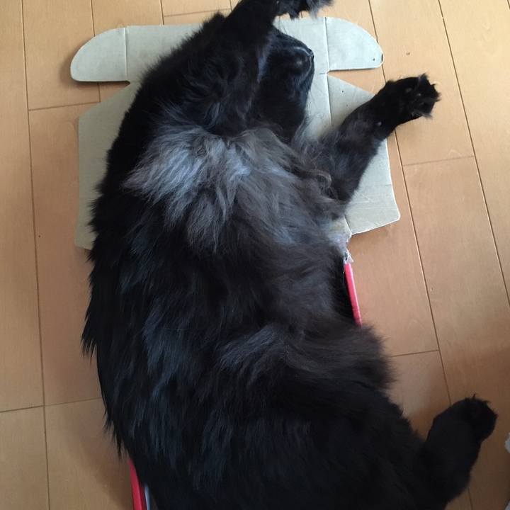 1fe6bc17 ea18 4f4a 93cd 49b07f7cbb3c 1507883081367