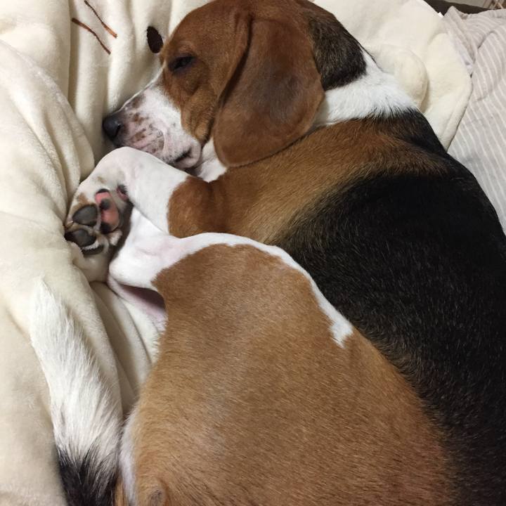 1fe6e91a d78d 4c30 82a0 28dbcbb73519 1540044089224