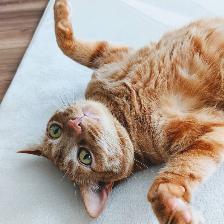 1fe6f7ad 217b 4170 8028 d177702aeee4 1621653092304