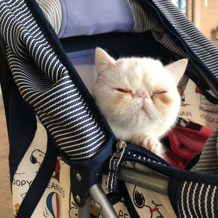 1fe7073c 33e5 48fc a849 7ff199ab4314 1556362583459