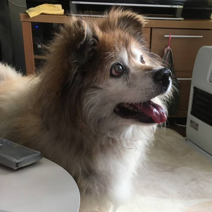 1fe71f6a e9ed 4162 af71 740076e398cb 1562869000071