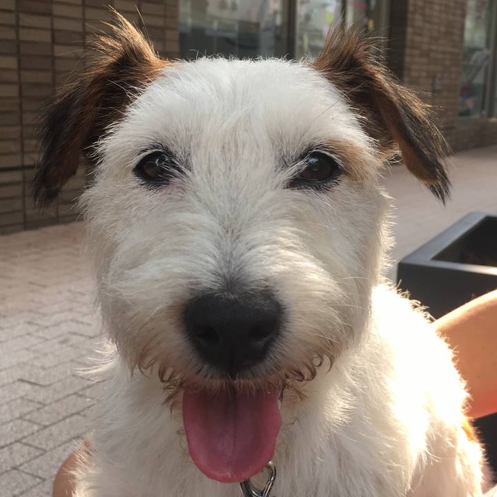 1fe72272 9732 48b3 a5ff 73ce06de8cb9 1531639875266