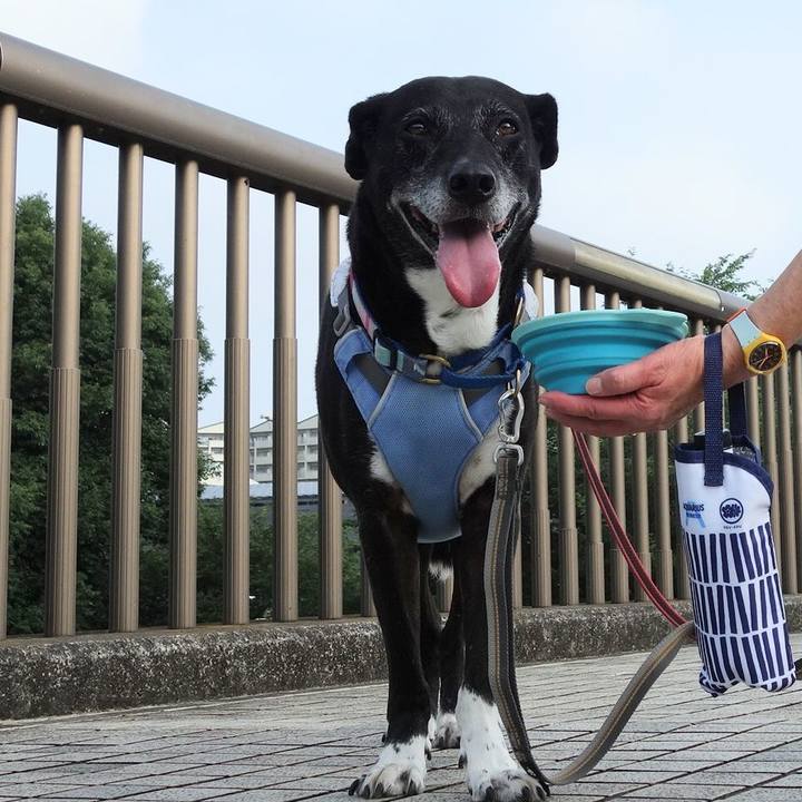 1fe7926f b941 4759 b5b9 4cd55ac20811 1751500615684