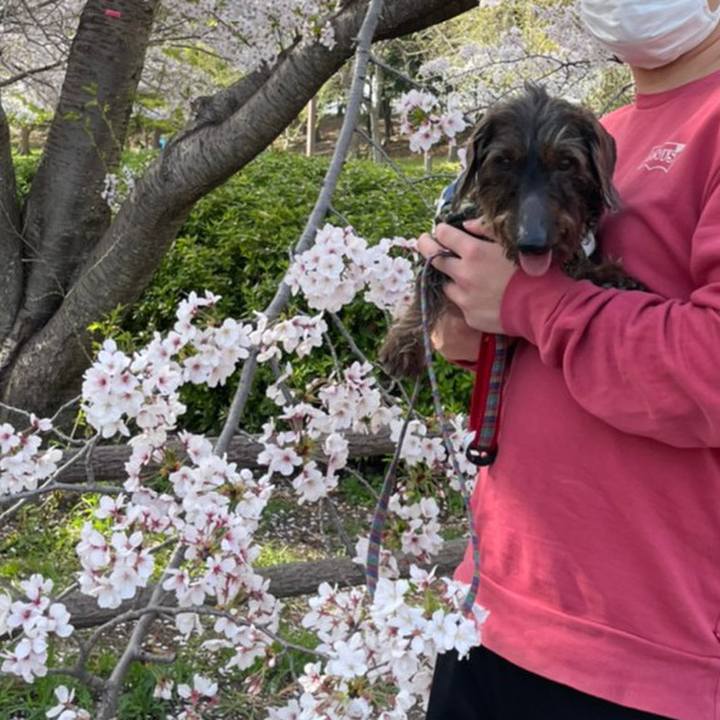 1fe7ae61 9f28 4a1a 844e e1268303750d 1617186818065