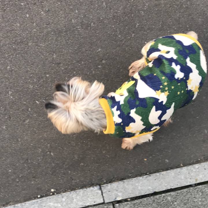 1fe7b3e0 a056 4c28 8248 2fd7a9d3b2e9 1696843643932