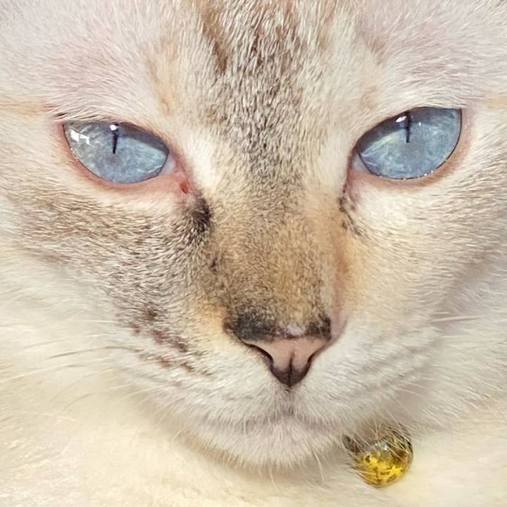 1fe7d8d5 c332 4e29 b794 788e7d093070 1663200311913