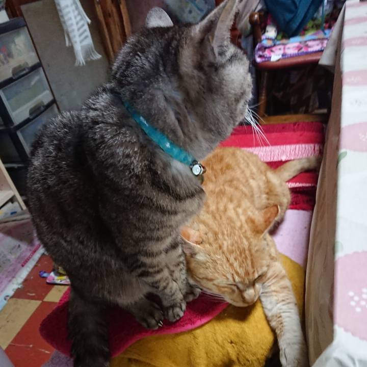 1fe7e07f 52ce 4c7a 8058 21e2c731f128 1554173033272