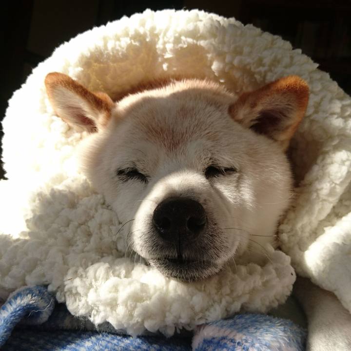 1fe7f20c 6c96 4da4 841f 7394d77e5974 1573605549474