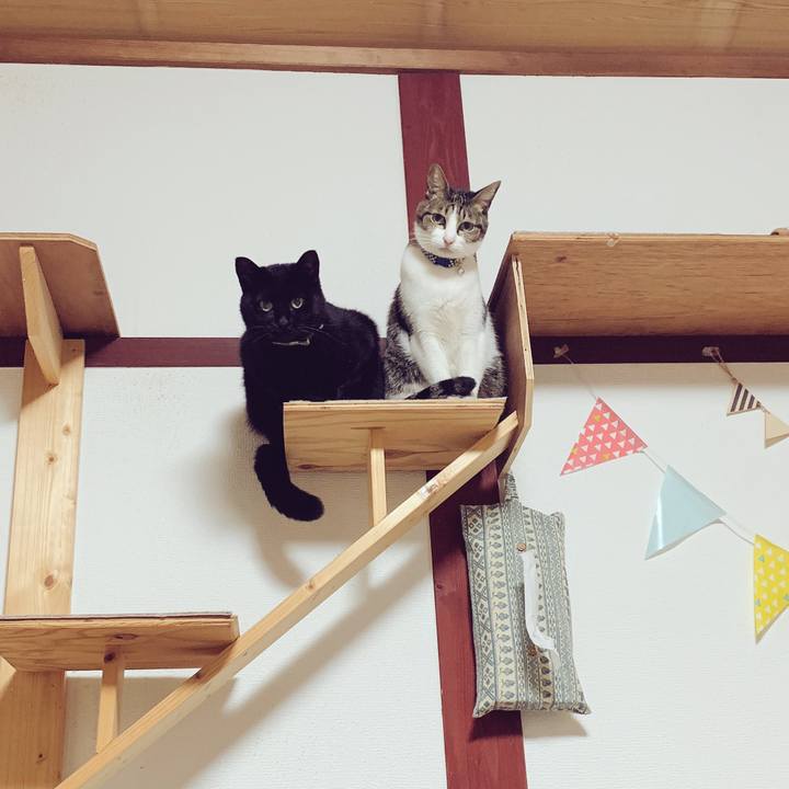 1fe856b6 e7ee 4f74 8207 ddcf26992bc9 1543673976380