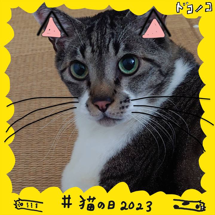 1fe87fef 350b 465b bbf1 8fda0348fdc5 1677041002597