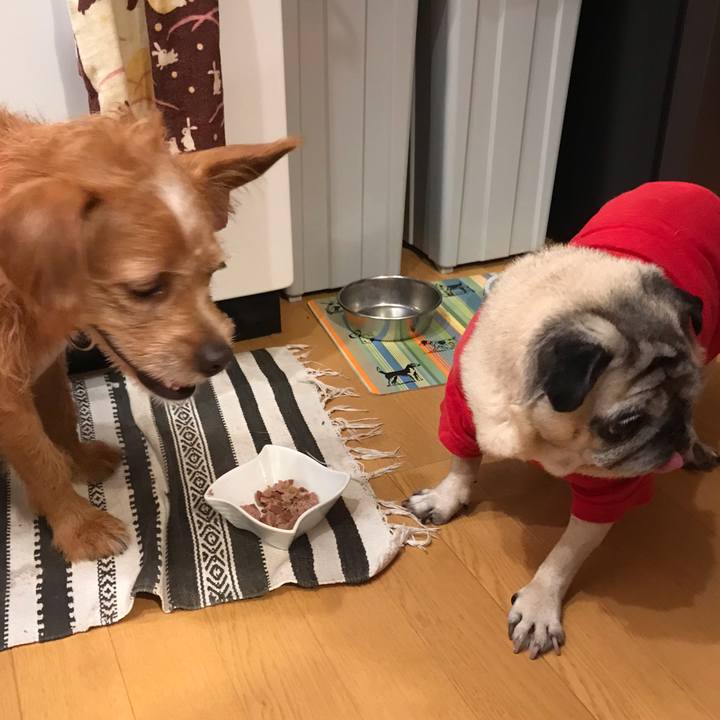 1fe89705 f2bb 4c03 b7fd 8efdb281707b 1595152966813