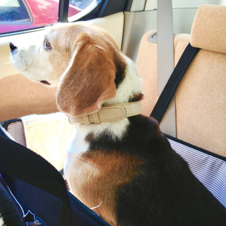 1fe8c54e 8eed 4acc 93ed c6fbaee481cb 1762695962362