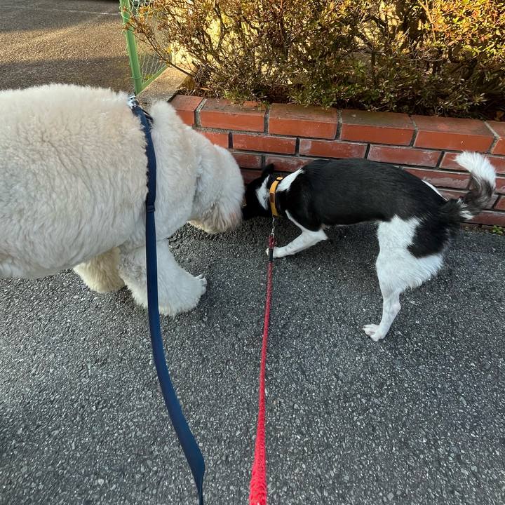 1fe8cdc6 094e 418f 8106 dd3da6784d31 1707832793651