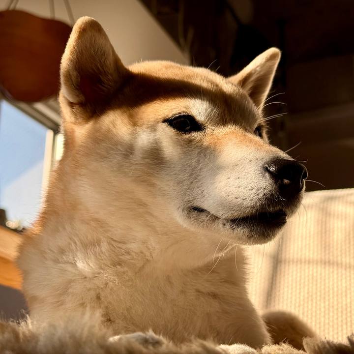 1fe8cf95 0003 4e48 a0af 2c73992451d9 1770687677538