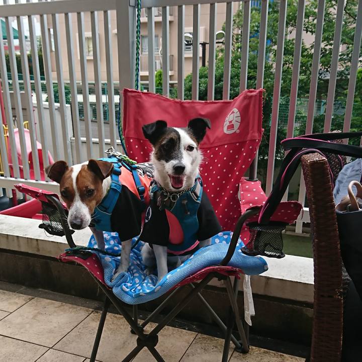 1fe8d76b 27df 4cb4 a83d 0c8e9b1eb2f0 1592957969953