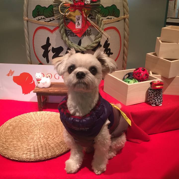 1fe8f70c 13a6 46f9 a71c 1bd535e2864d 1515150651986