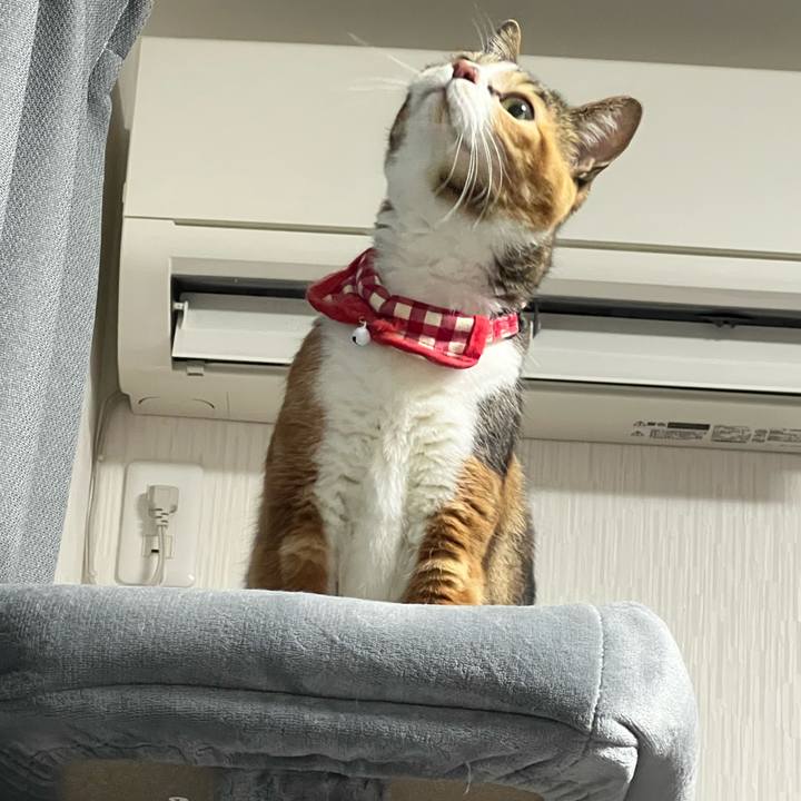 1fe8ff5c d51a 4527 a192 8919d59d1289 1770644319416