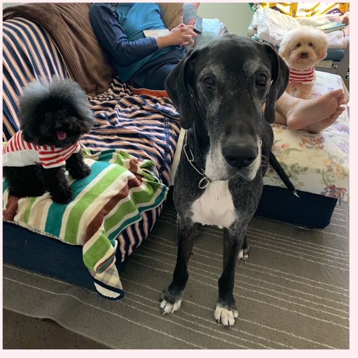 1fe919b3 102e 498f a736 e74dba0f42a6 1587261904419