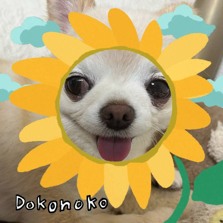 1fe9498c a46b 4372 a225 518a0a659c3b 1723512851406