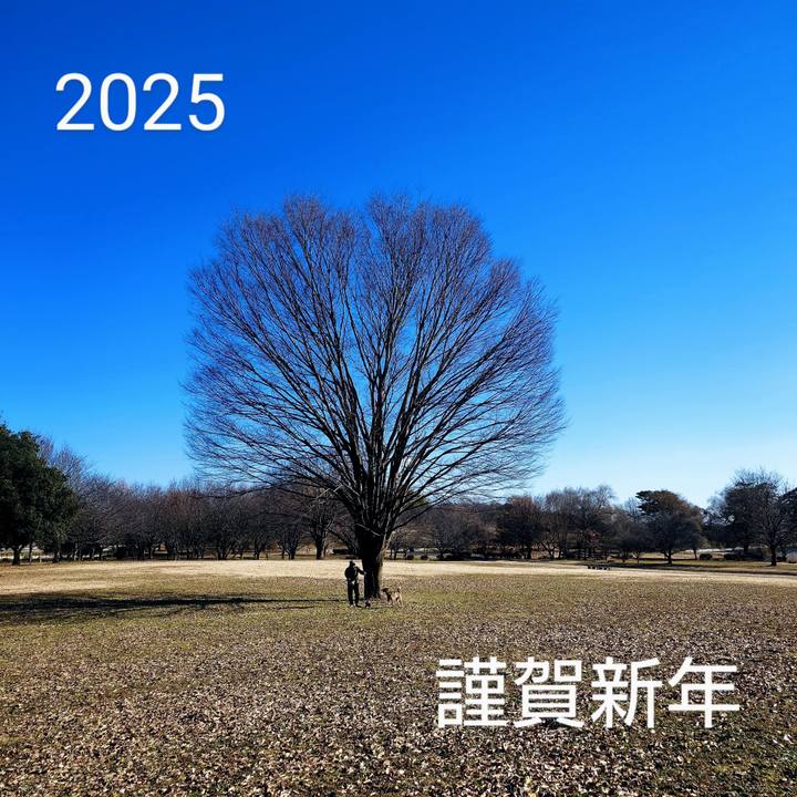 1fe96484 46dc 4ec4 904b b689eefa454b 1735710365074