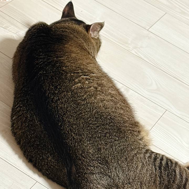 1fe9b392 9b28 4269 b86e 783277d38f96 1771428744753