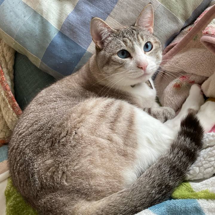 1fe9cca5 22ca 4798 9c49 eafa7a1ae95f 1589087348349