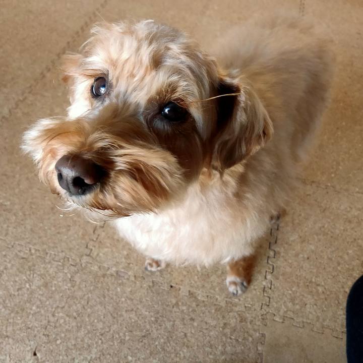 1fe9e20e e250 48b1 a1dd b5232b1c4132 1612047109506