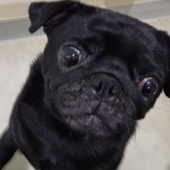 1fea3729 6790 423c beca 5c7ee69c5384 1596775815632