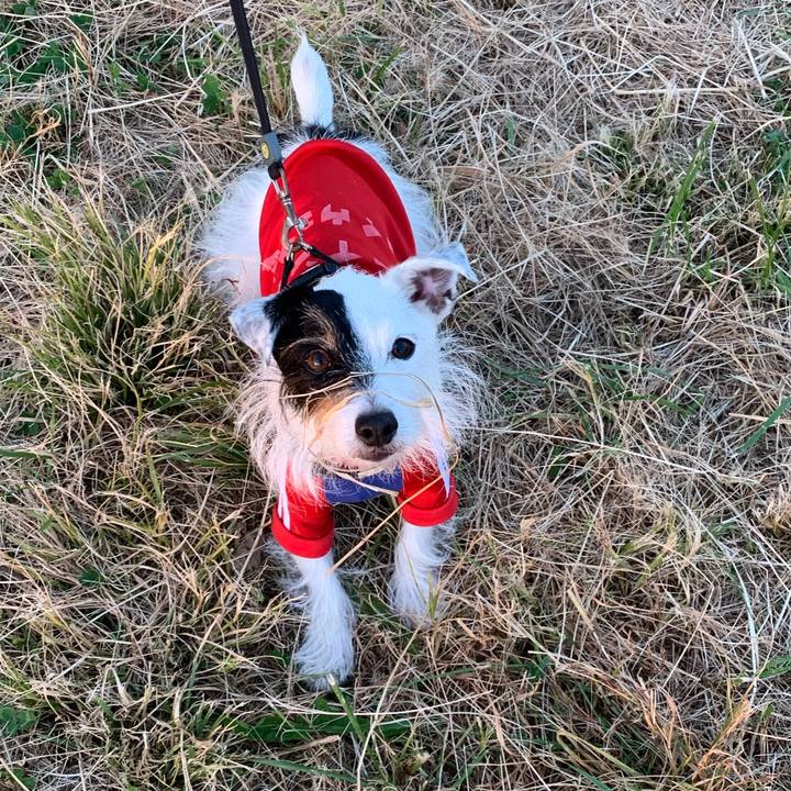 1fea3823 14c7 4335 8109 a6ec0f9376f5 1668757685770