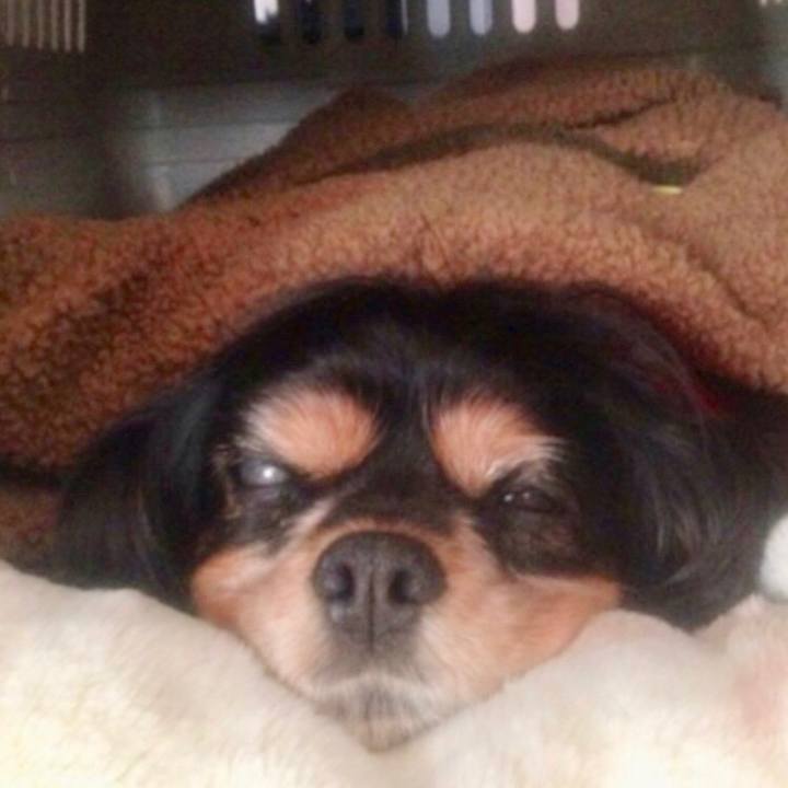 1fea5c13 d574 4bce a556 ae38ca244828 1585146511815