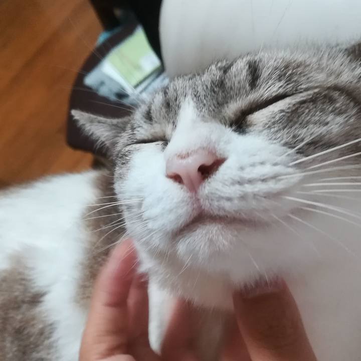 1fea7774 5a6b 4d9d 9ee0 1e7df33bf9ce 1594726684556