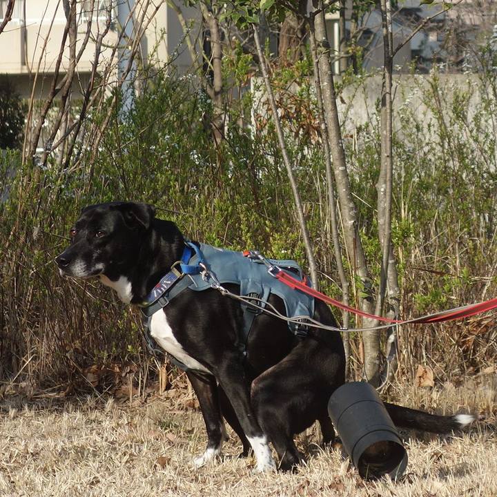 1fea7a68 6f49 4918 adae 6f1acde4d8e4 1710550115553