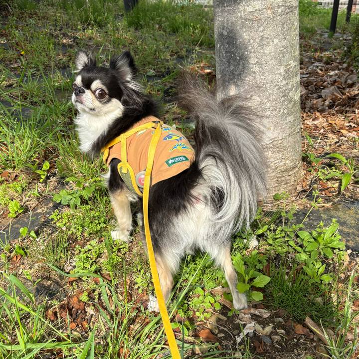 1feac174 5a57 4ef0 b609 b2ed3892591b 1745081040041