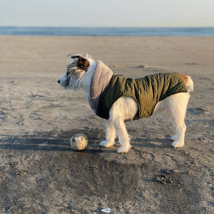 1feac661 9c18 4bc1 a5da 5809aeacbaff 1611184735969