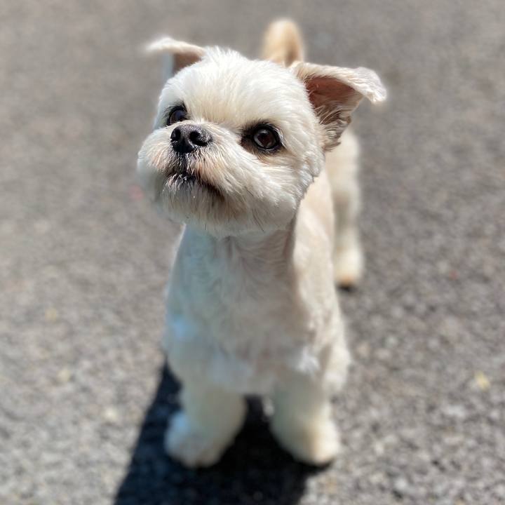 1fead9b1 223f 400c 8505 6ac51685aa4f 1587814810309