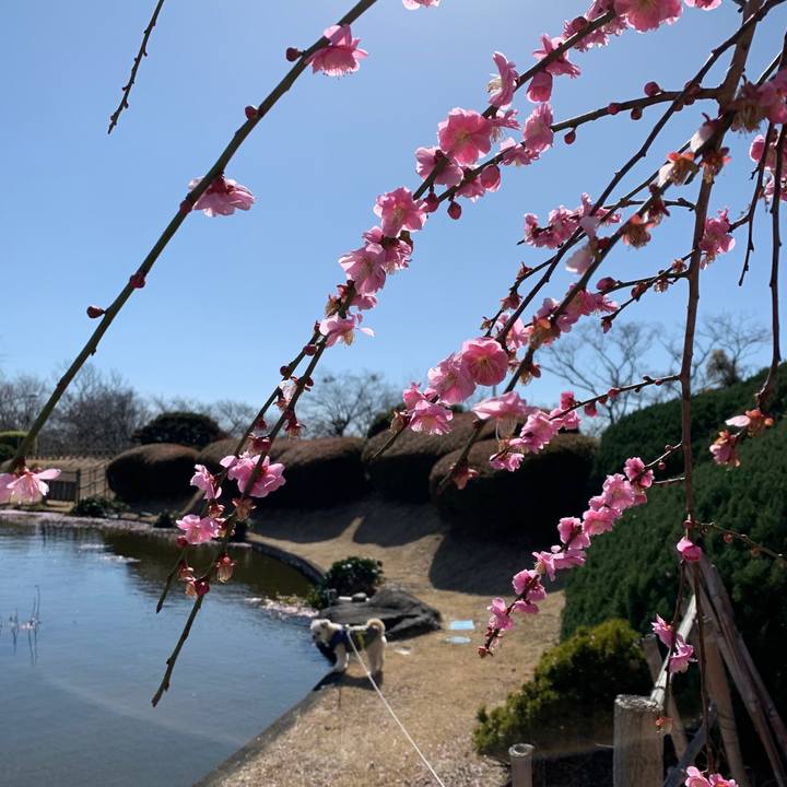 1feae281 2660 4420 8f65 4ffc5464f492 1581941378552