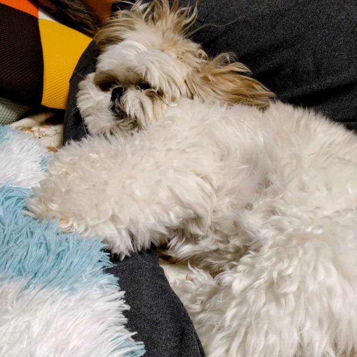 1feb0322 efdd 4729 96f6 df20cffcd427 1681620654236