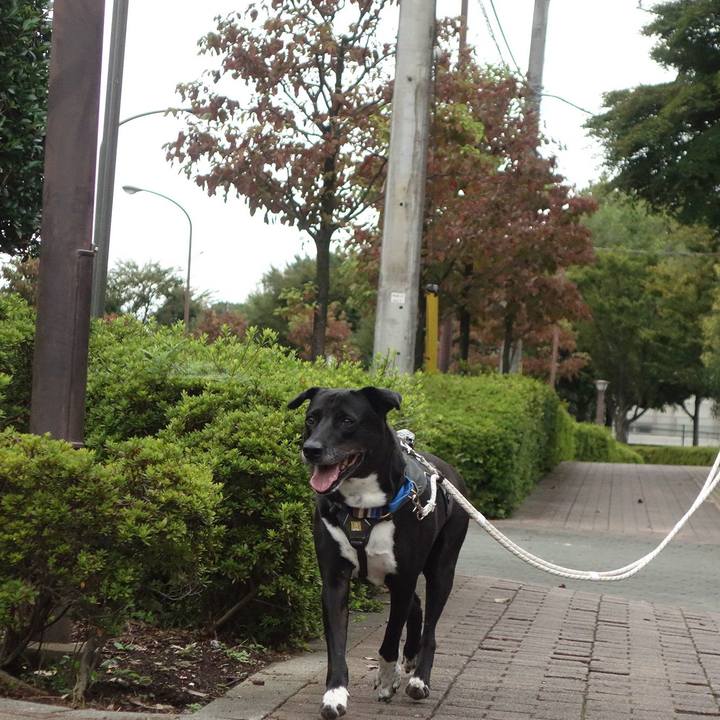 1feb1faa 83e6 4614 9793 58a76db9dcc6 1665534578609